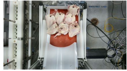 Robot's-eye RGB view of deformable poultry carcasses on the conveyor.