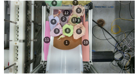 SAM2 instance segmentation producing 14 candidate carcass masks.
